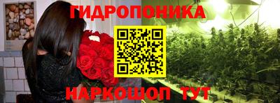 МДПВ Гатчина