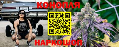МДПВ Гатчина