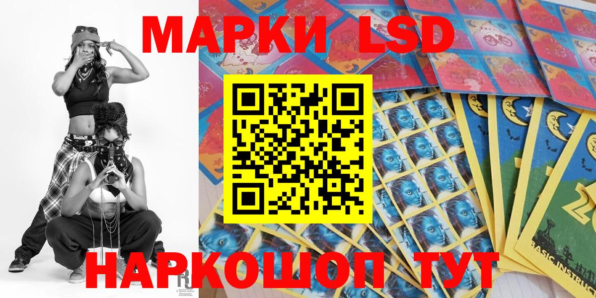 Новозыбков  где продают наркотики  Вход с VPN  Марки NBOMe 1500мкг 