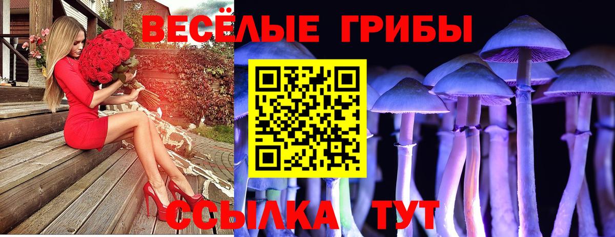 Галлюциногенные грибы MAGIC MUSHROOMS Новозыбков