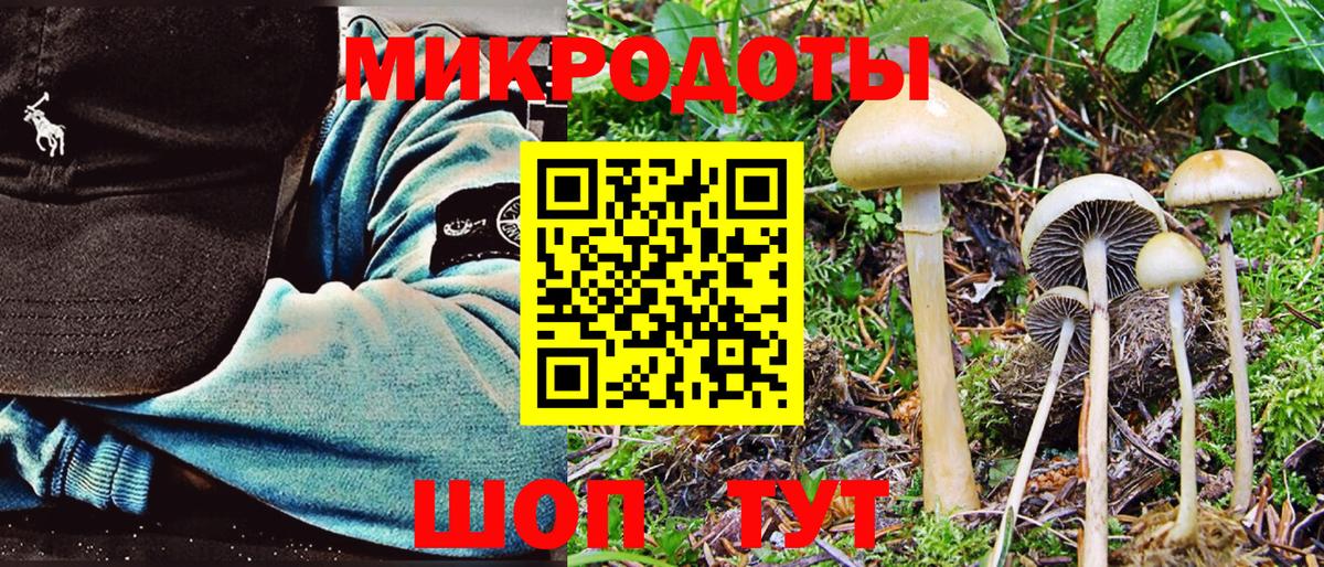 Новозыбков  Галлюциногенные грибы Psilocybine cubensis  где купить наркотик  Вход с VPN 